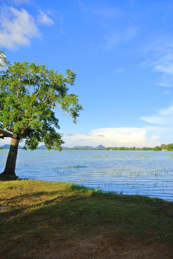 Flower Garden Lake Resort Tissamaharama Dış mekan fotoğraf